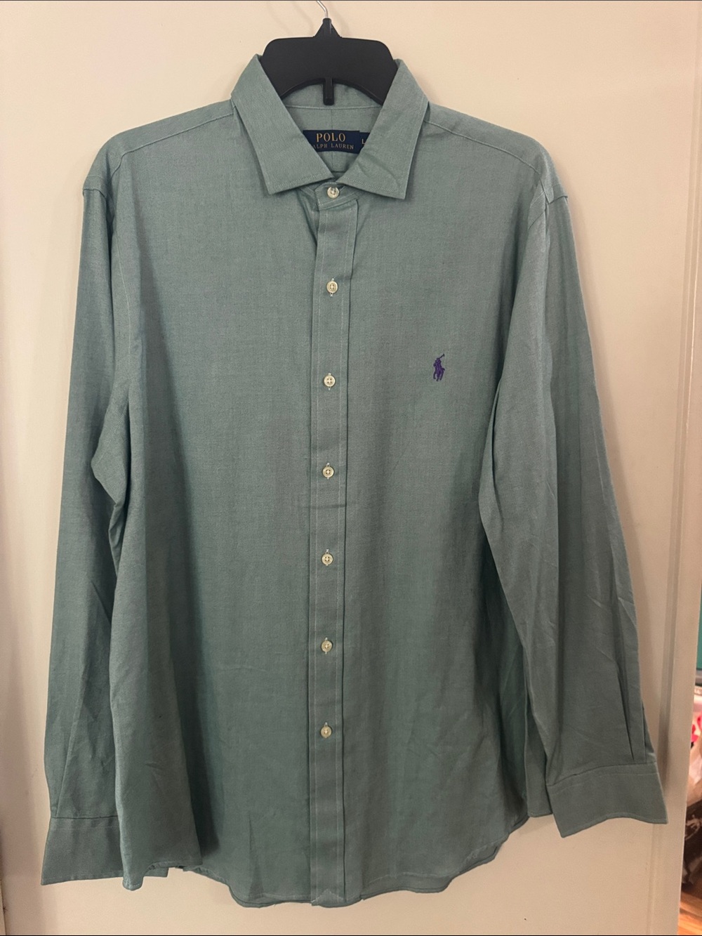 Polo by Ralph Lauren Sage Green Long-Sleeve Button-Down Shirt